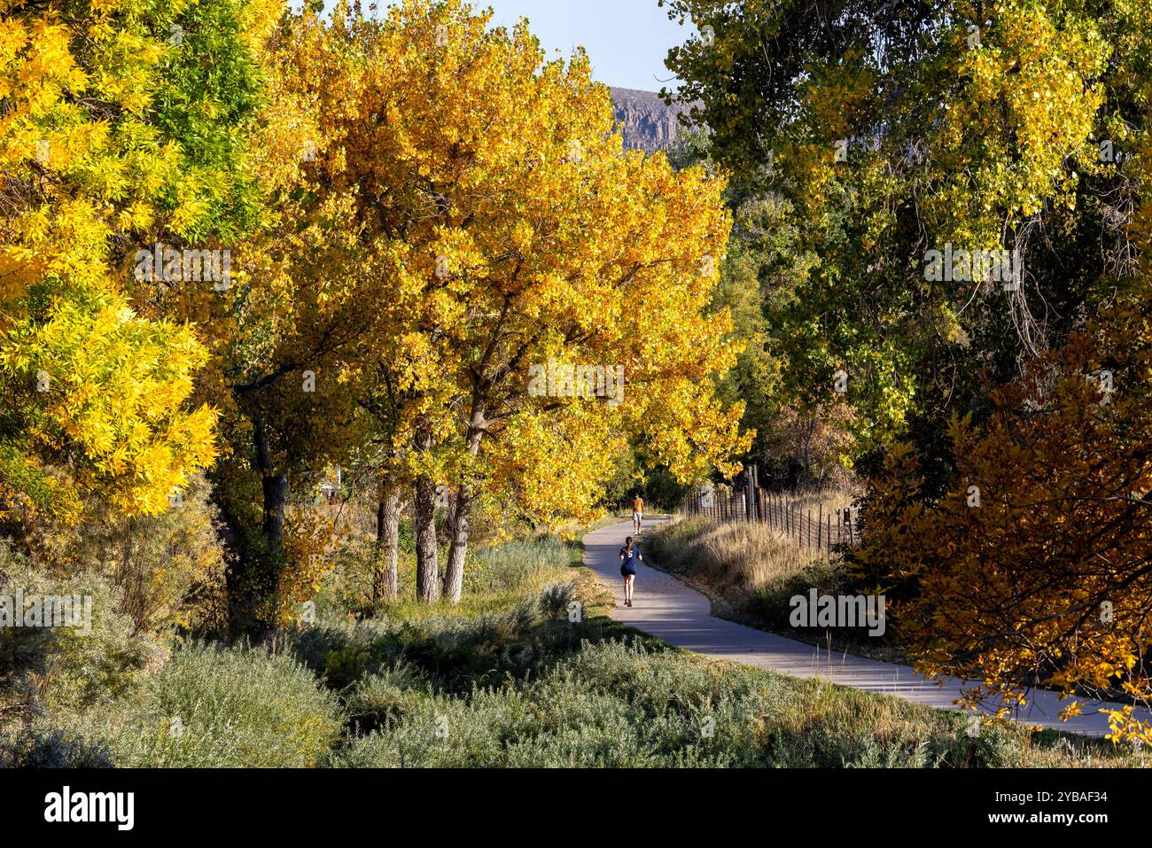 Frauen, die auf dem Tucker Gulch Trail laufen, umgeben von wunderschönen Herbstlaub - Golden, Colorado, USA Stockfoto