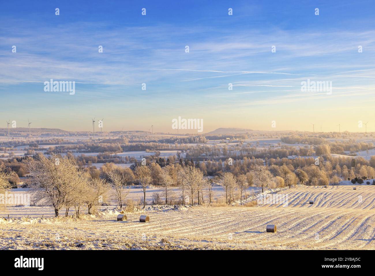 Panoramablick auf die Winterlandschaft mit frostigen Bäumen und Ballen auf einem verschneiten Stoppelfeld und Windturbinen am Horizont, Falkoeping, Schweden, Europa Stockfoto