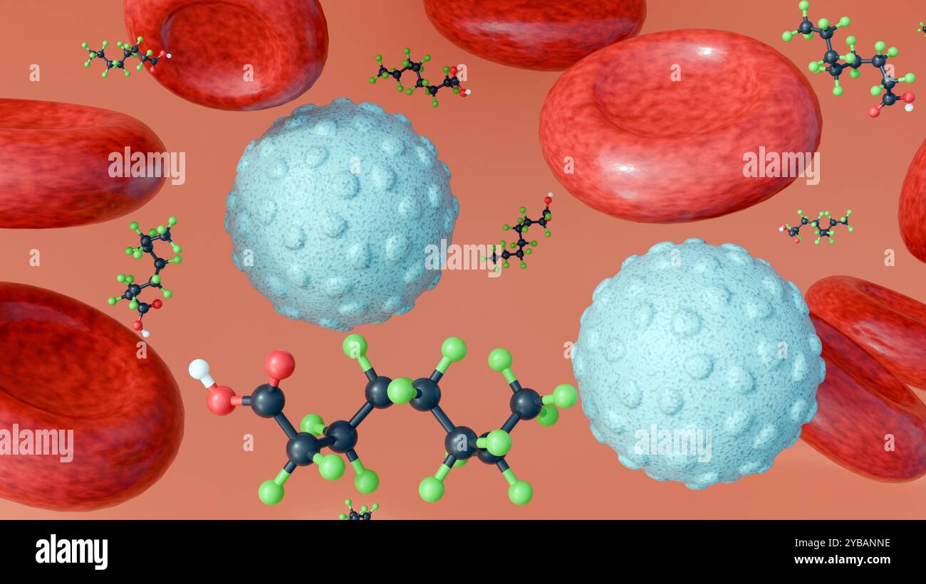 3D-Rendering von Perfluoroctansäure (PFOA)-Molekülen, dass fast jeder nachweisbare Konzentrationen in seinem Blut hat. Stockfoto