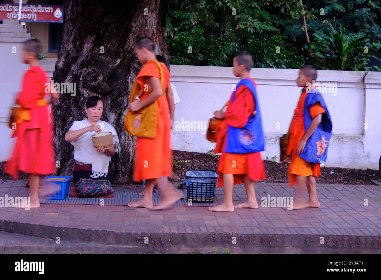 Junge Mönche warten an der Schlange, um Reis von einer Spenderin zu erhalten, während der Frühmorgendfeier auf der Sakkaline Road im historischen Viertel. Luang Prabang. Laos Stockfoto