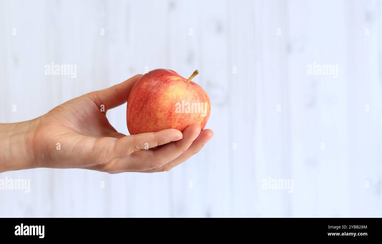 Reifer Apfel in der Hand der Frau auf hellem hölzernem Hintergrund. Nahaufnahme der Hand mit Apfel. Konzept der gesunden Ernährung, Vitamine und Ernährung. Obst. Weiße Buchse Stockfoto