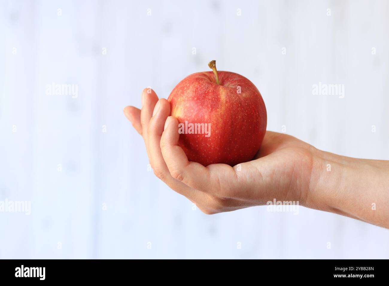 Reifer Apfel in der Hand der Frau auf hellem hölzernem Hintergrund. Nahaufnahme der Hand mit Apfel. Konzept der gesunden Ernährung, Vitamine und Ernährung. Obst. Weiße Buchse Stockfoto