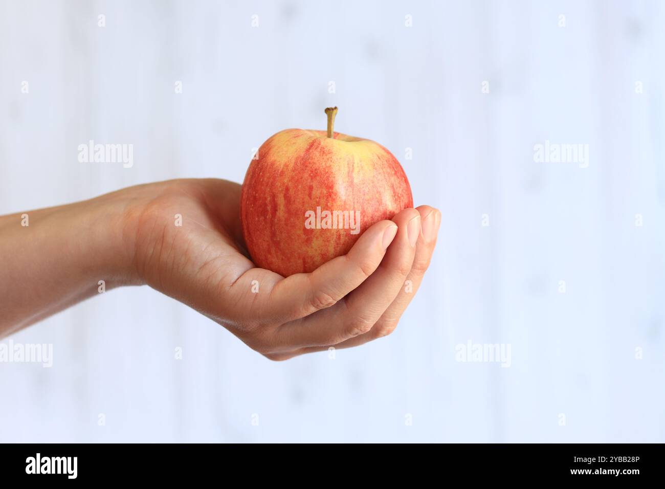 Reifer Apfel in der Hand der Frau auf hellem hölzernem Hintergrund. Nahaufnahme der Hand mit Apfel. Konzept der gesunden Ernährung, Vitamine und Ernährung. Obst. Weiße Buchse Stockfoto