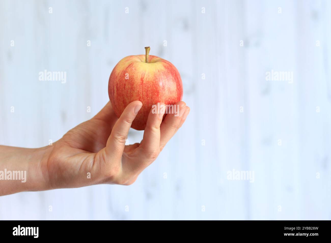 Reifer Apfel in der Hand der Frau auf hellem hölzernem Hintergrund. Nahaufnahme der Hand mit Apfel. Konzept der gesunden Ernährung, Vitamine und Ernährung. Obst. Weiße Buchse Stockfoto