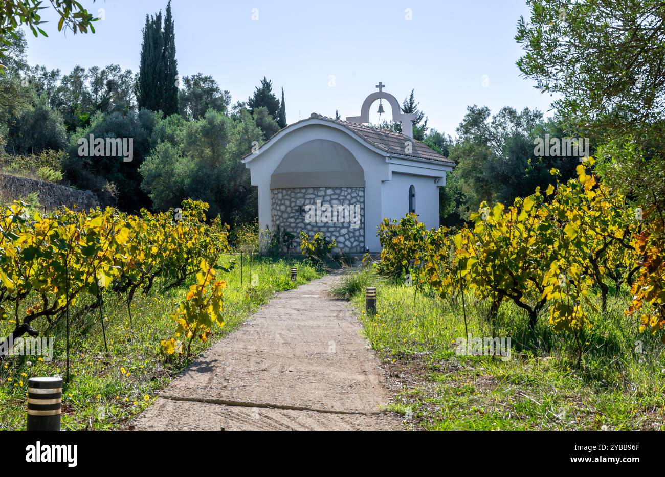 Lefkada, Griechenland - 10.02.2024. Die kleine Gedenkkirche des Heiligen Antonius, die in einem Weinberg erbaut wurde. Stockfoto