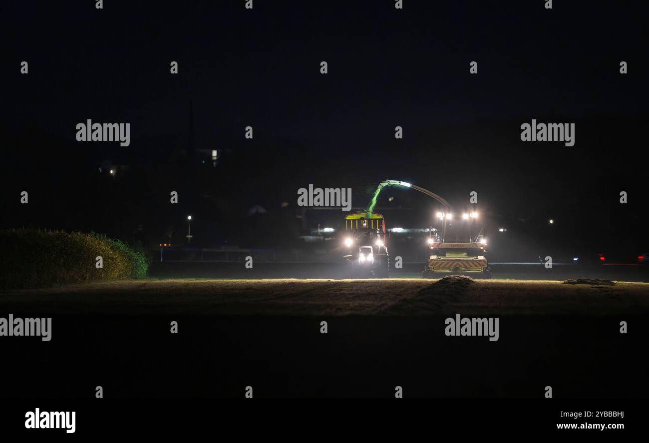 18.10.2024, Landwirt auf seinem Feld in der Nacht bei Bad Wörishofen im Unterallgäu, ein Landwirt bei der Grasernte, durch die Scheinwerfer schaut es gespenstisch aus. 18.10.2024, Landwirtschaft 18.10.2024, Landwirtschaft *** 18 10 2024, Landwirt auf seinem Feld nachts bei Bad Wörishofen im Unterallgäu, Ein Landwirt, der Gras erntet, sieht durch die Scheinwerfer gruselig aus 18 10 2024, Landwirtschaft 18 10 2024, Landwirtschaft Stockfoto