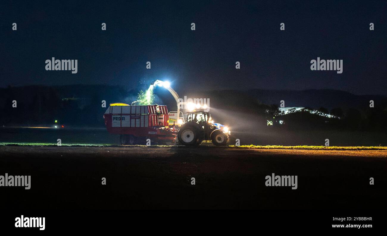 18.10.2024, Landwirt auf seinem Feld in der Nacht bei Bad Wörishofen im Unterallgäu, ein Landwirt bei der Grasernte, durch die Scheinwerfer schaut es gespenstisch aus. 18.10.2024, Landwirtschaft 18.10.2024, Landwirtschaft *** 18 10 2024, Landwirt auf seinem Feld nachts bei Bad Wörishofen im Unterallgäu, Ein Landwirt, der Gras erntet, sieht durch die Scheinwerfer gruselig aus 18 10 2024, Landwirtschaft 18 10 2024, Landwirtschaft Stockfoto