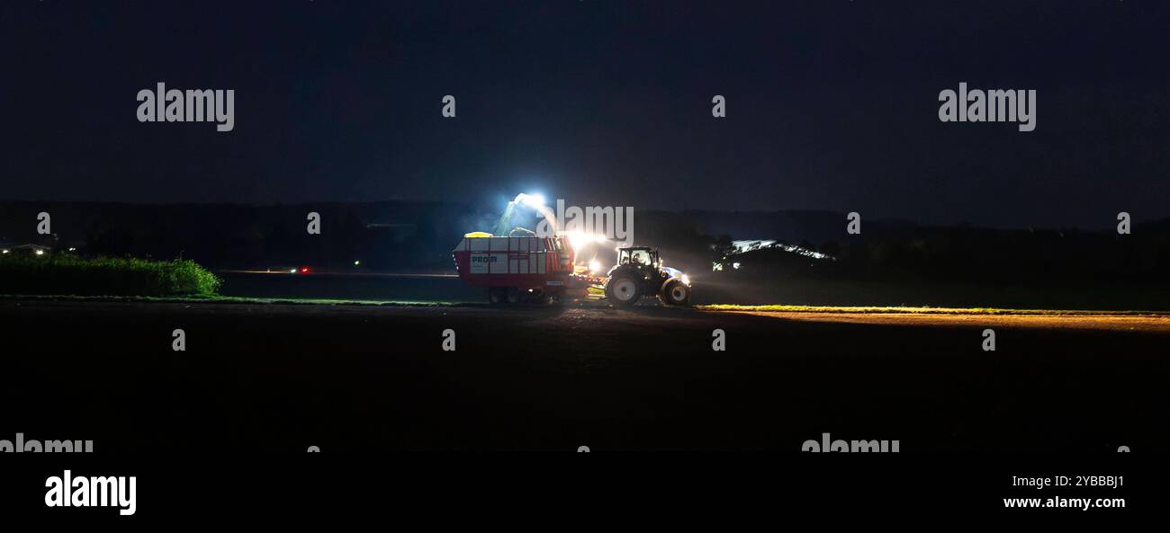 18.10.2024, Landwirt auf seinem Feld in der Nacht bei Bad Wörishofen im Unterallgäu, ein Landwirt bei der Grasernte, durch die Scheinwerfer schaut es gespenstisch aus. 18.10.2024, Landwirtschaft 18.10.2024, Landwirtschaft *** 18 10 2024, Landwirt auf seinem Feld nachts bei Bad Wörishofen im Unterallgäu, Ein Landwirt, der Gras erntet, sieht durch die Scheinwerfer gruselig aus 18 10 2024, Landwirtschaft 18 10 2024, Landwirtschaft Stockfoto