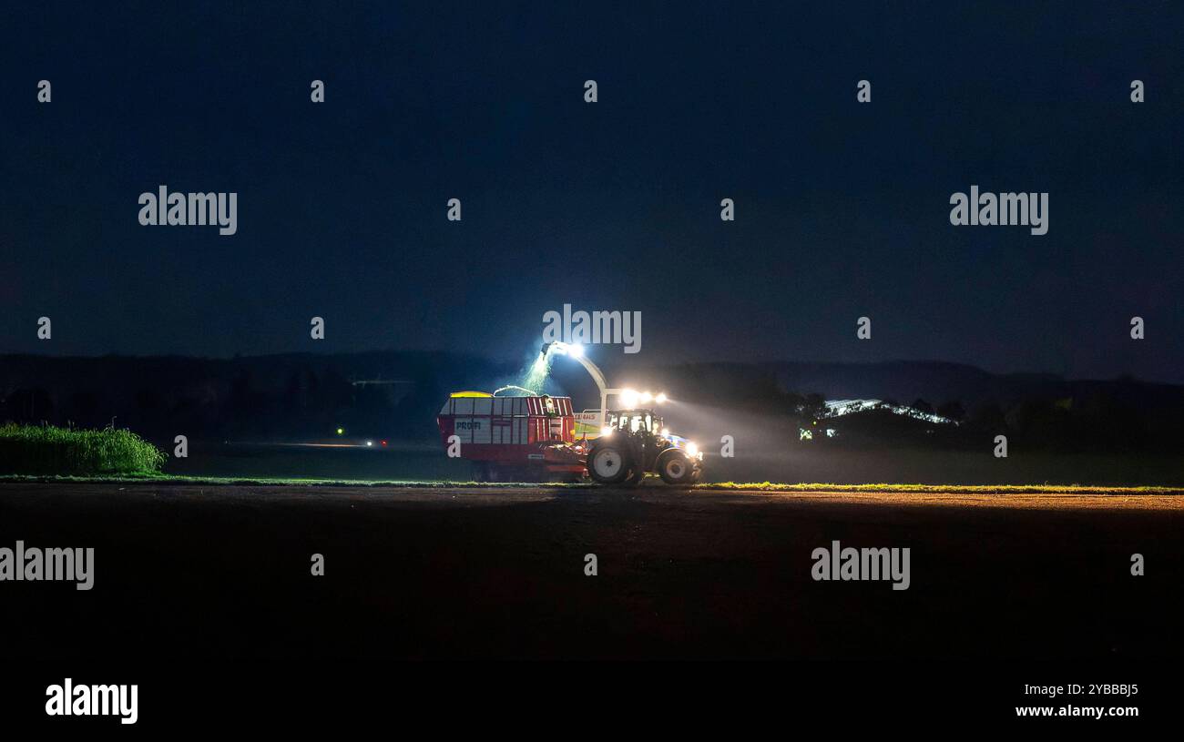 18.10.2024, Landwirt auf seinem Feld in der Nacht bei Bad Wörishofen im Unterallgäu, ein Landwirt bei der Grasernte, durch die Scheinwerfer schaut es gespenstisch aus. 18.10.2024, Landwirtschaft 18.10.2024, Landwirtschaft *** 18 10 2024, Landwirt auf seinem Feld nachts bei Bad Wörishofen im Unterallgäu, Ein Landwirt, der Gras erntet, sieht durch die Scheinwerfer gruselig aus 18 10 2024, Landwirtschaft 18 10 2024, Landwirtschaft Stockfoto