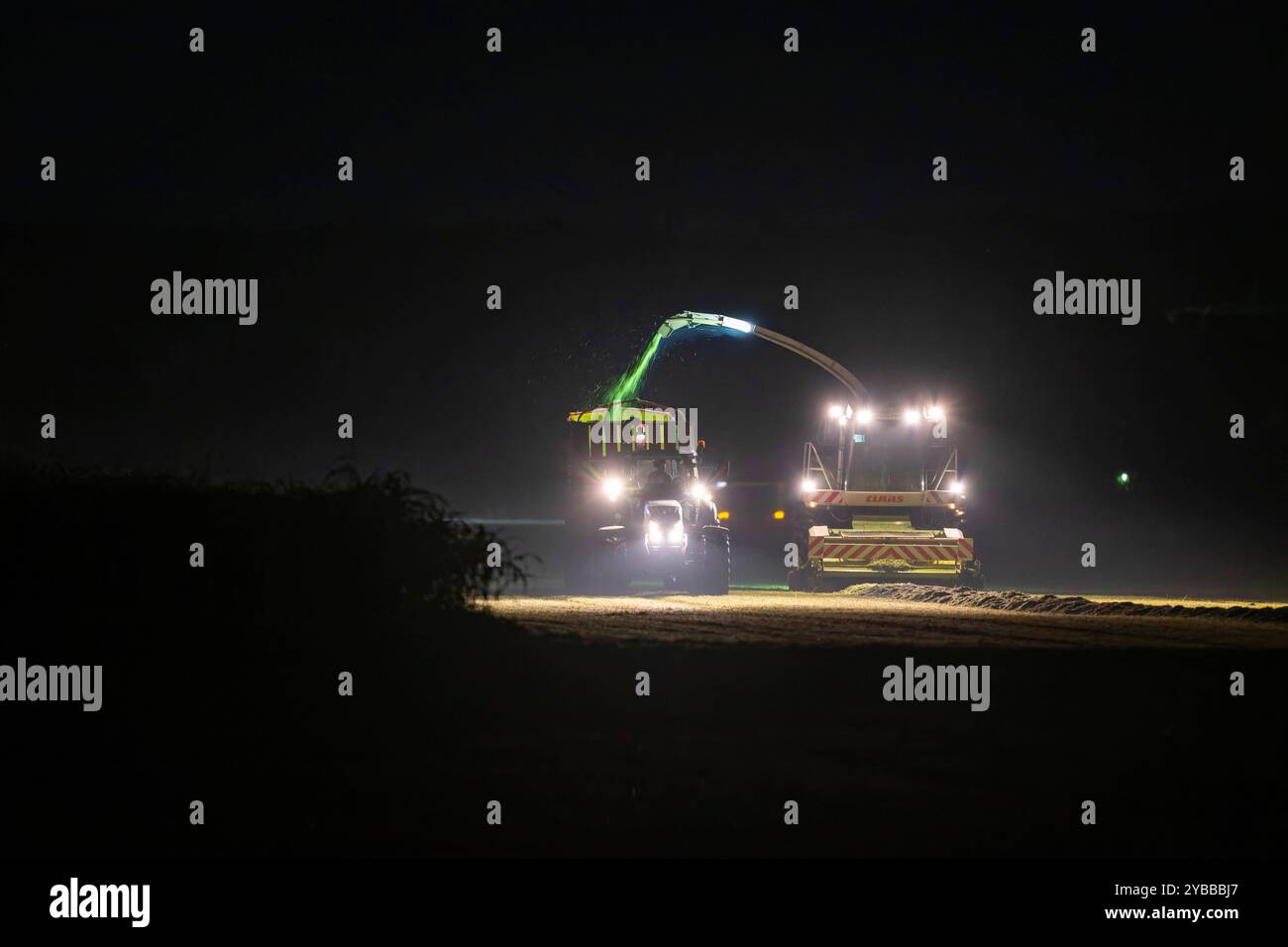 18.10.2024, Landwirt auf seinem Feld in der Nacht bei Bad Wörishofen im Unterallgäu, ein Landwirt bei der Grasernte, durch die Scheinwerfer schaut es gespenstisch aus. 18.10.2024, Landwirtschaft 18.10.2024, Landwirtschaft *** 18 10 2024, Landwirt auf seinem Feld nachts bei Bad Wörishofen im Unterallgäu, Ein Landwirt, der Gras erntet, sieht durch die Scheinwerfer gruselig aus 18 10 2024, Landwirtschaft 18 10 2024, Landwirtschaft Stockfoto