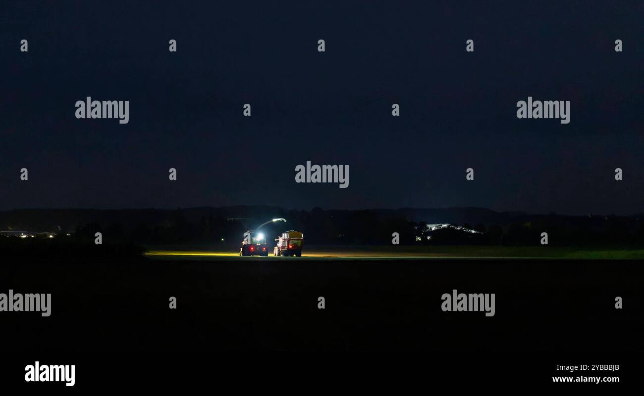 18.10.2024, Landwirt auf seinem Feld in der Nacht bei Bad Wörishofen im Unterallgäu, ein Landwirt bei der Grasernte, durch die Scheinwerfer schaut es gespenstisch aus. 18.10.2024, Landwirtschaft 18.10.2024, Landwirtschaft *** 18 10 2024, Landwirt auf seinem Feld nachts bei Bad Wörishofen im Unterallgäu, Ein Landwirt, der Gras erntet, sieht durch die Scheinwerfer gruselig aus 18 10 2024, Landwirtschaft 18 10 2024, Landwirtschaft Stockfoto