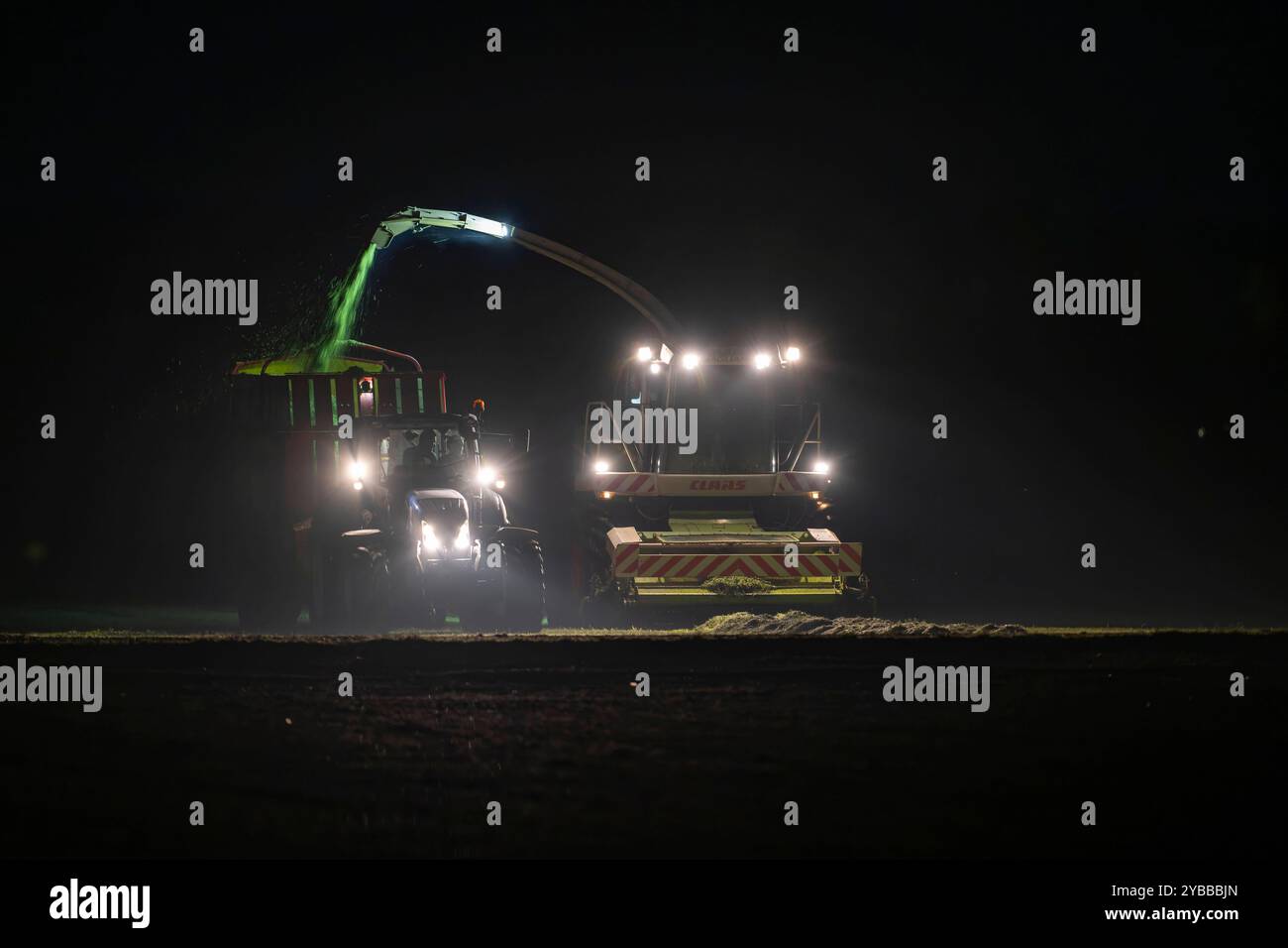 18.10.2024, Landwirt auf seinem Feld in der Nacht bei Bad Wörishofen im Unterallgäu, ein Landwirt bei der Grasernte, durch die Scheinwerfer schaut es gespenstisch aus. 18.10.2024, Landwirtschaft 18.10.2024, Landwirtschaft *** 18 10 2024, Landwirt auf seinem Feld nachts bei Bad Wörishofen im Unterallgäu, Ein Landwirt, der Gras erntet, sieht durch die Scheinwerfer gruselig aus 18 10 2024, Landwirtschaft 18 10 2024, Landwirtschaft Stockfoto