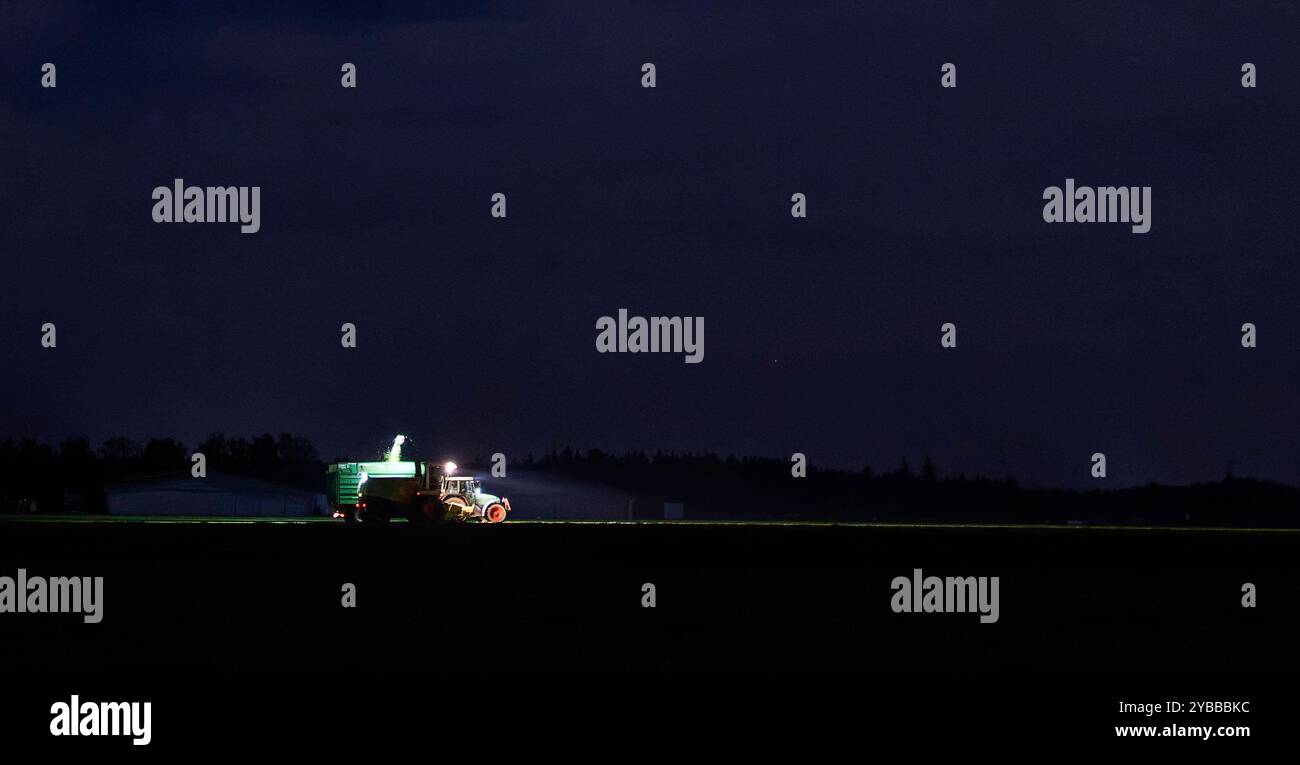 18.10.2024, Landwirt auf seinem Feld in der Nacht bei Bad Wörishofen im Unterallgäu, ein Landwirt bei der Grasernte, durch die Scheinwerfer schaut es gespenstisch aus. 18.10.2024, Landwirtschaft 18.10.2024, Landwirtschaft *** 18 10 2024, Landwirt auf seinem Feld nachts bei Bad Wörishofen im Unterallgäu, Ein Landwirt, der Gras erntet, sieht durch die Scheinwerfer gruselig aus 18 10 2024, Landwirtschaft 18 10 2024, Landwirtschaft Stockfoto
