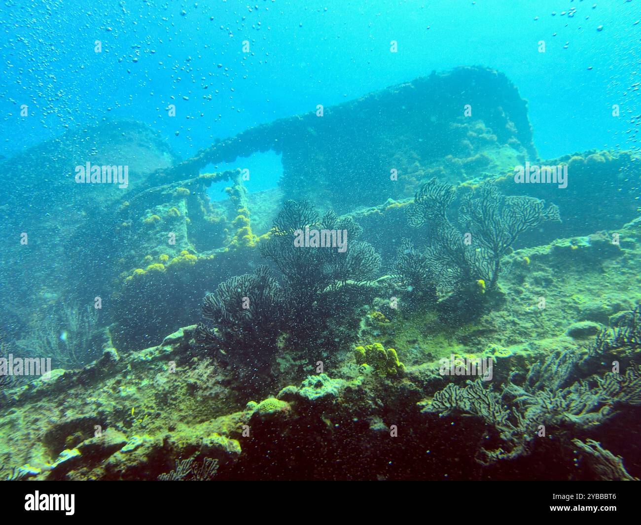 Schiffswrack unter Wasser, Kingstown, St. Vincent und die Grenadinen Stockfoto