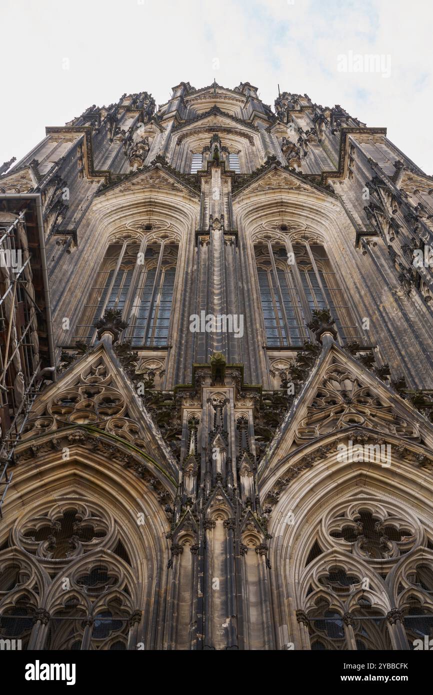 Flacher Blick auf die dramatische Fassade des Kölner Doms, Köln, Deutschland Stockfoto
