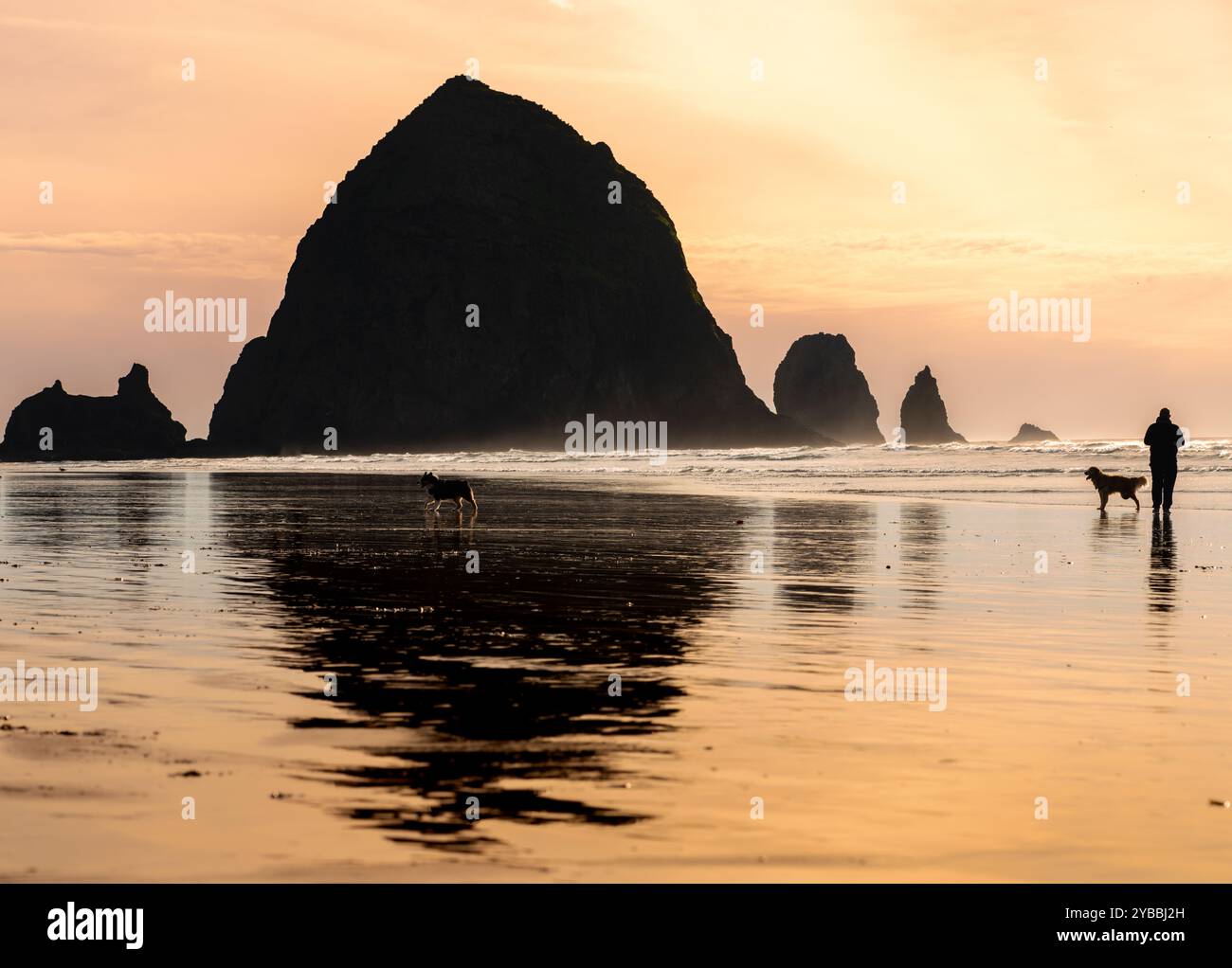 Bei Sonnenuntergang entlang der Küste von Oregon am Cannon Beach tummeln Sie sich mit dem Hund Stockfoto