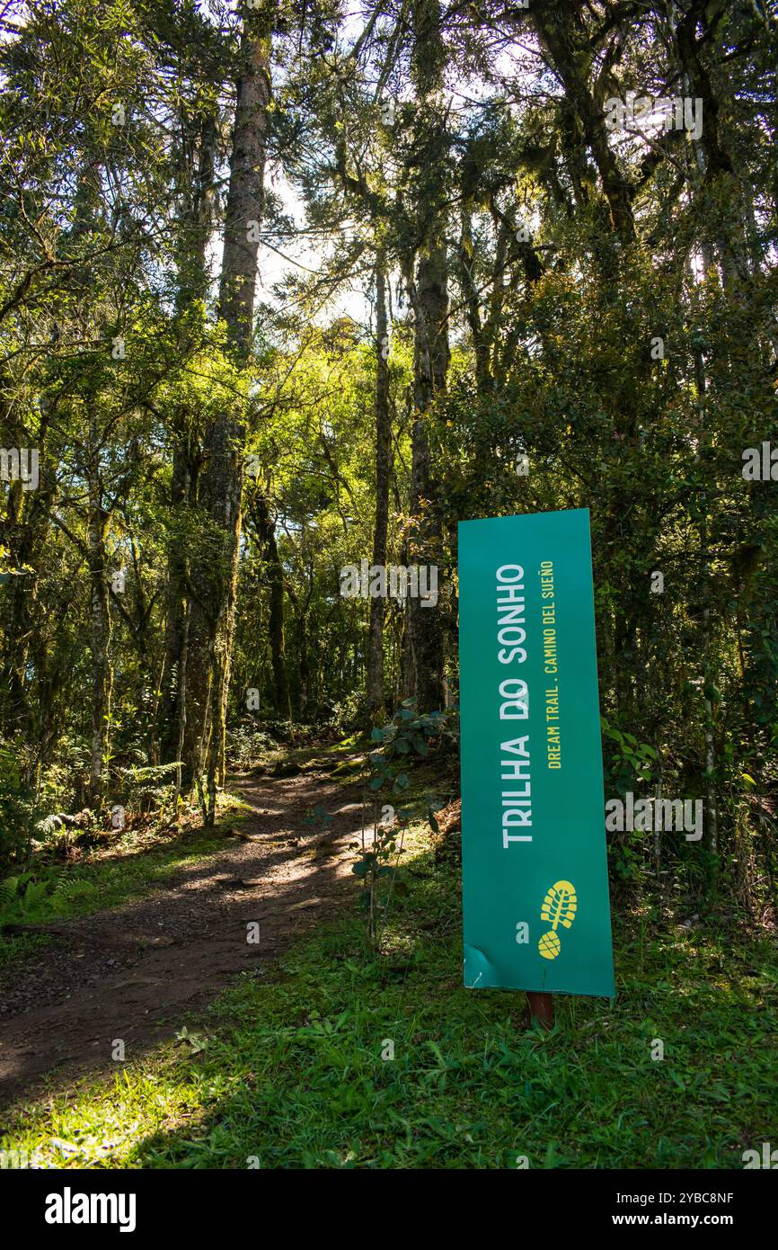 Canela, Brasilien - 15. Oktober 2024: Wanderweg 'Trilha do Sono' am Parque do Caracol, berühmter Naturpark und Touristenziel in Canela Stockfoto