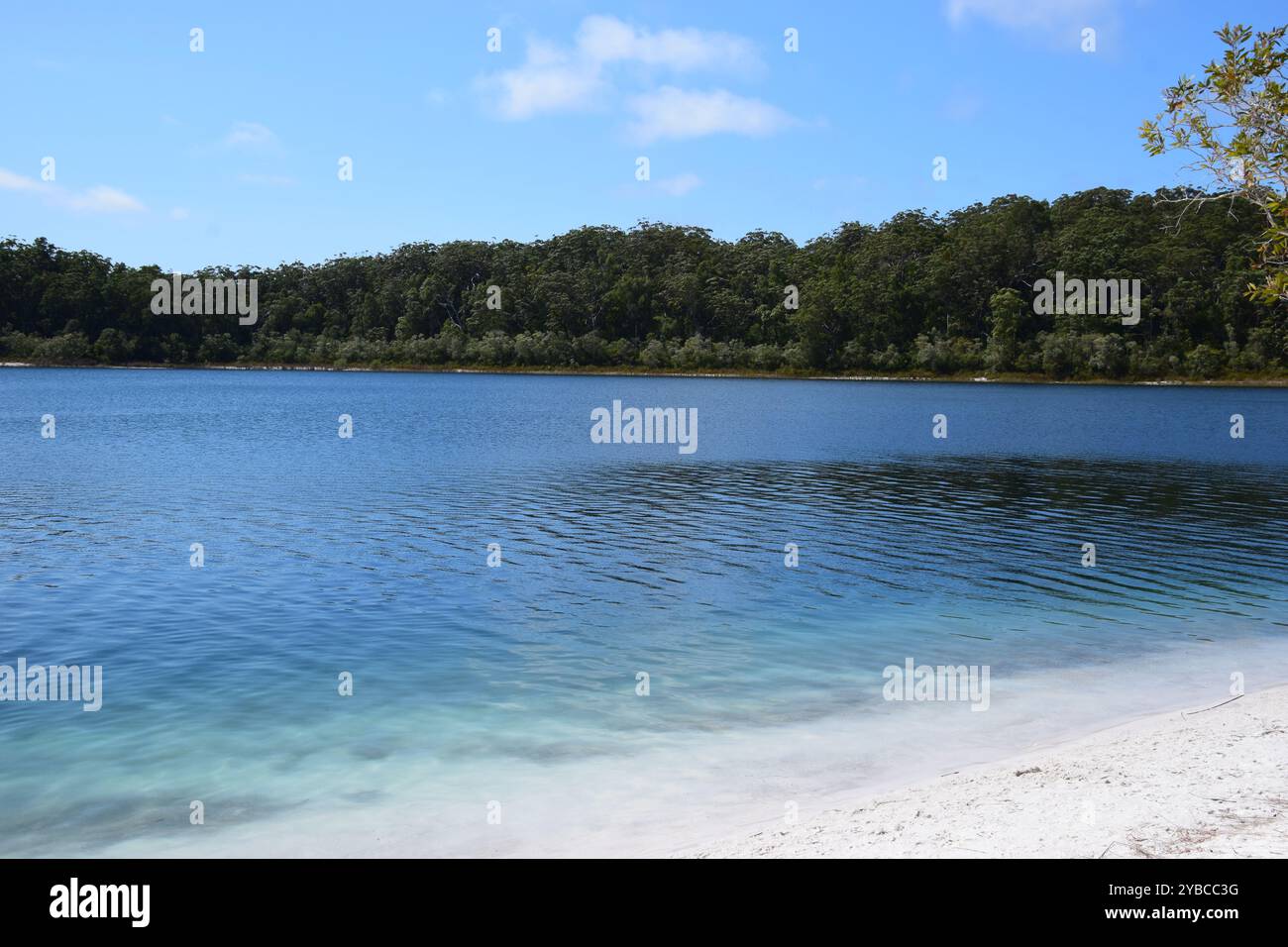 Lake Makenzie K'gari Island Australien Stockfoto