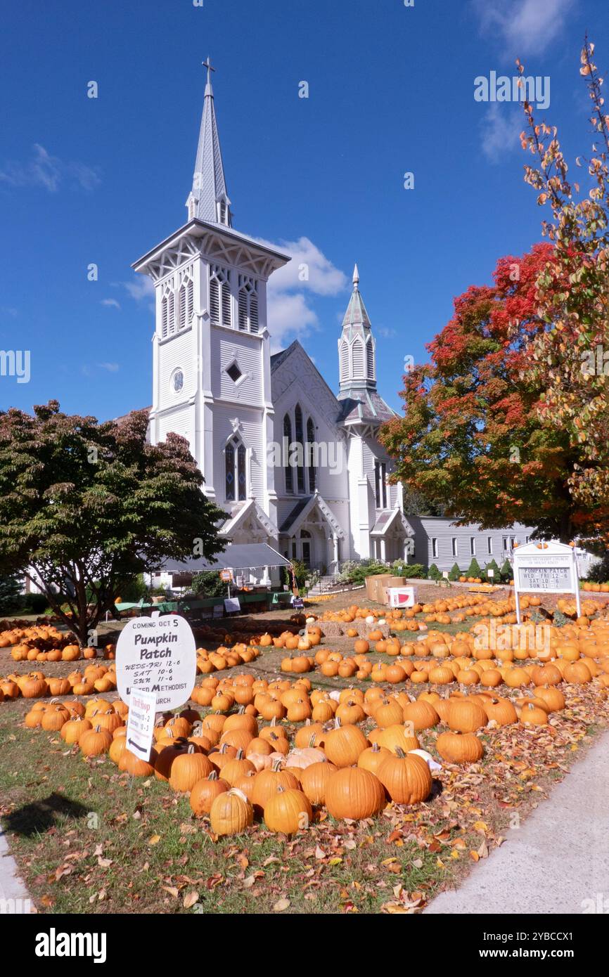 Ein Kürbisfleck mit Dutzenden Kürbissen vor der United Methodist Church of Mount Kisco. In Westchester, NY, Oktober 2024. Stockfoto