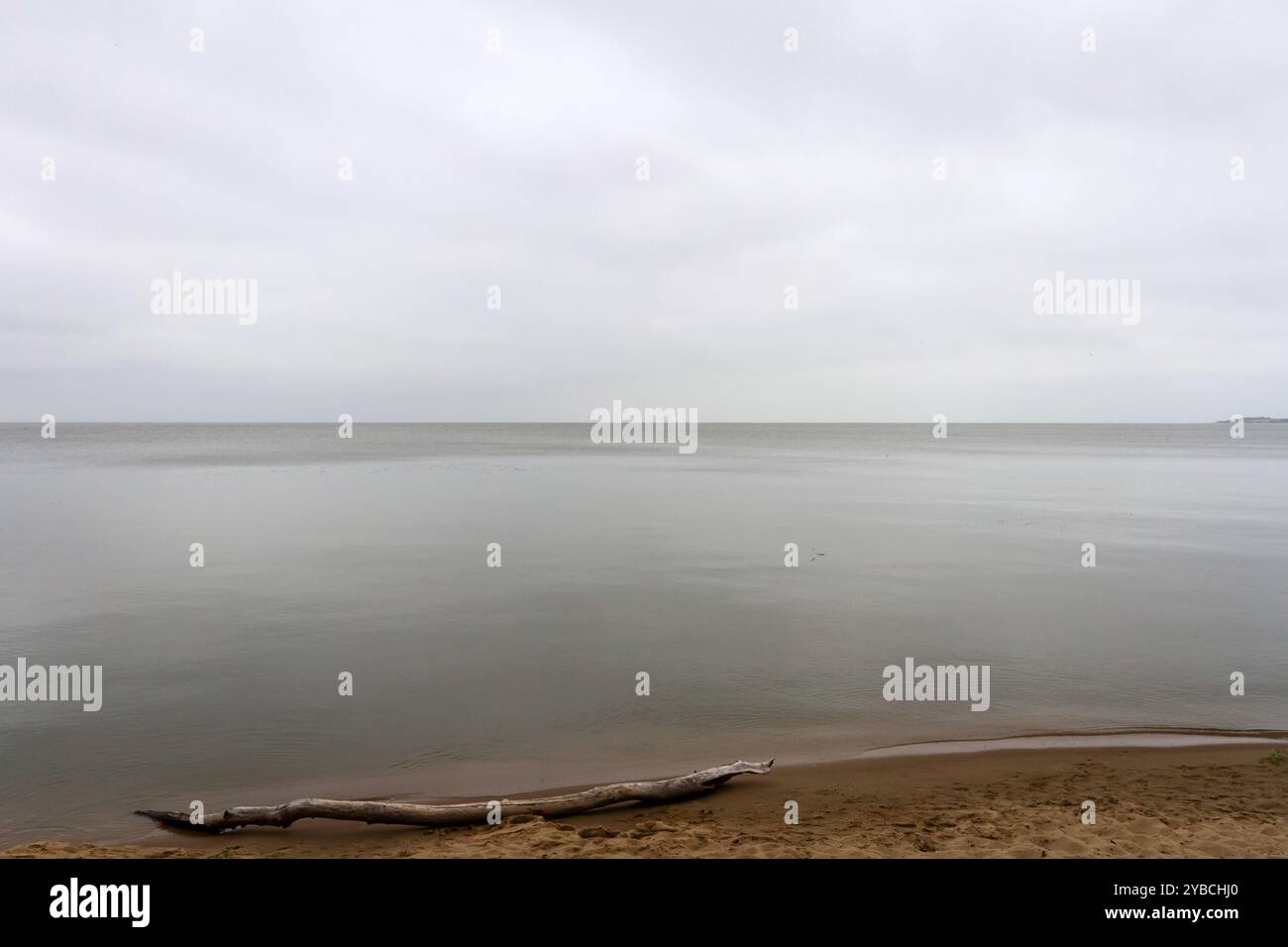 Landschaft am Kurischen Lagune an einem düsteren Tag Stockfoto