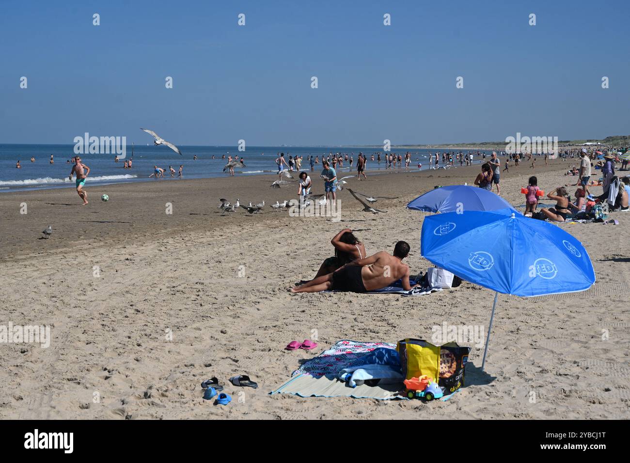The Haag, Niederlande - 28. August 2024: Die Menschen entspannen sich am Strand in den Haag. Stockfoto