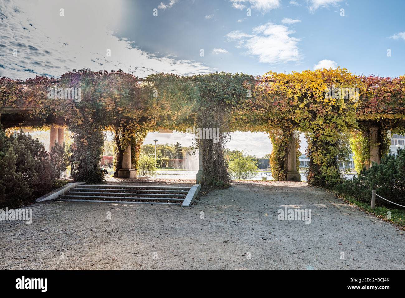 Ein bezaubernder Pfad durch eine mit Weinreben bedeckte Pergola bietet ein ruhiges und malerisches Gartenerlebnis. Perfekt für Inspiration in der Natur und friedliche Kontemplation Stockfoto