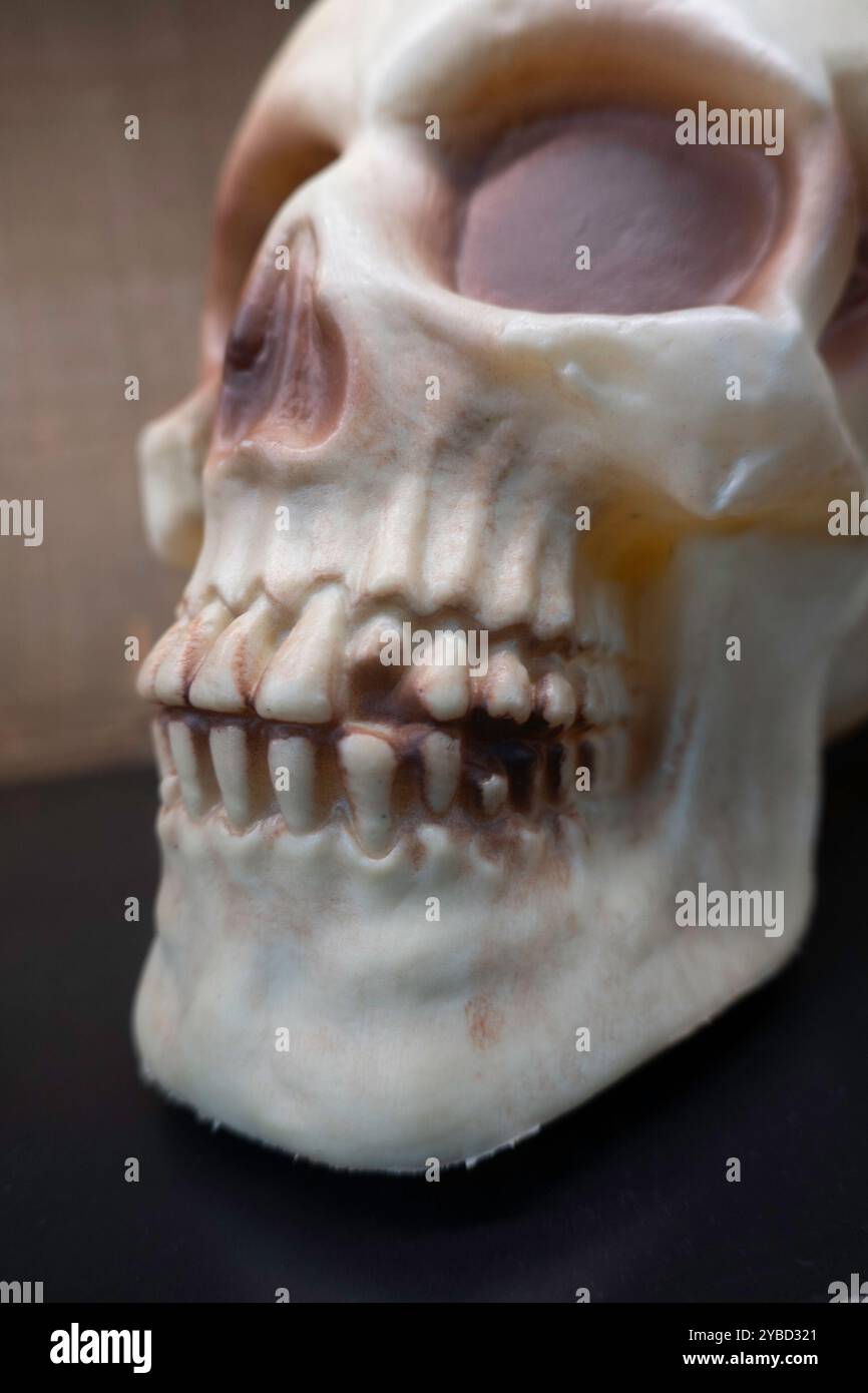 Ein Pop-up Spirit Halloween Store bietet Masken und Kostüme für die Feiertage, New York City, USA 2024 Stockfoto