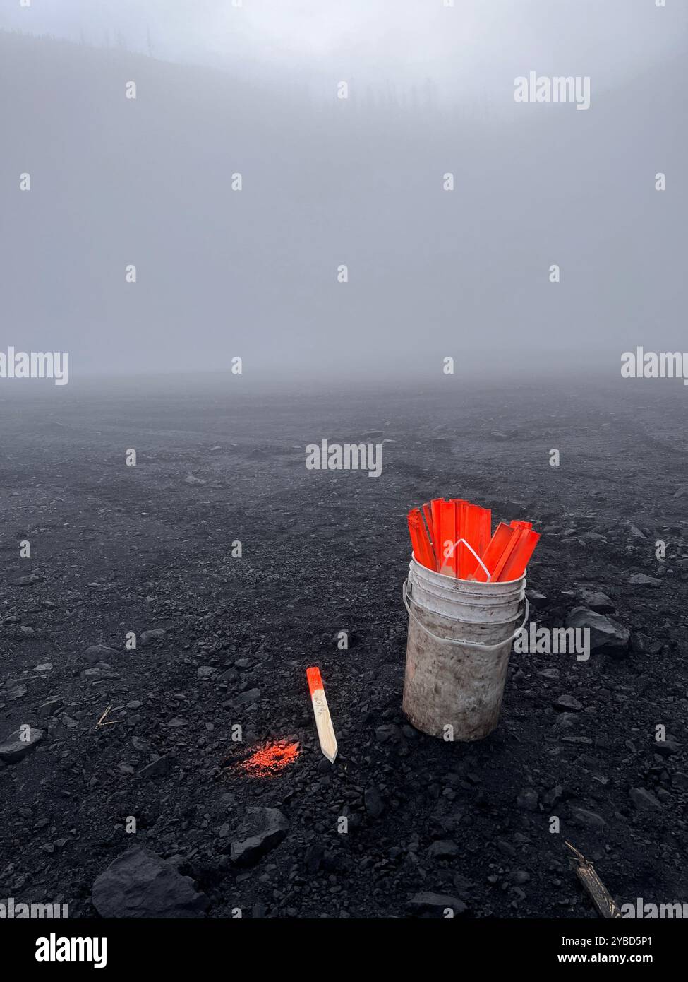 Stangen im Eimer - Smartphone-aufgenommenes Stockfoto