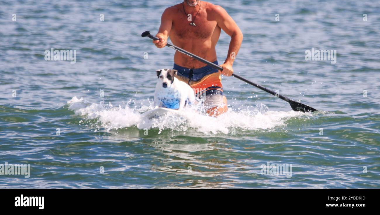 Ein Mann kniet auf einem Sufbrett hinter seinem Hund, der am Labor Day 2024 am Giglo Beach eine Welle fängt. Stockfoto