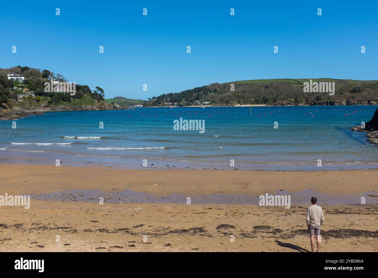 Mann mit Blick aufs Meer am South Sands Beach in Salcombe, Devon Stockfoto