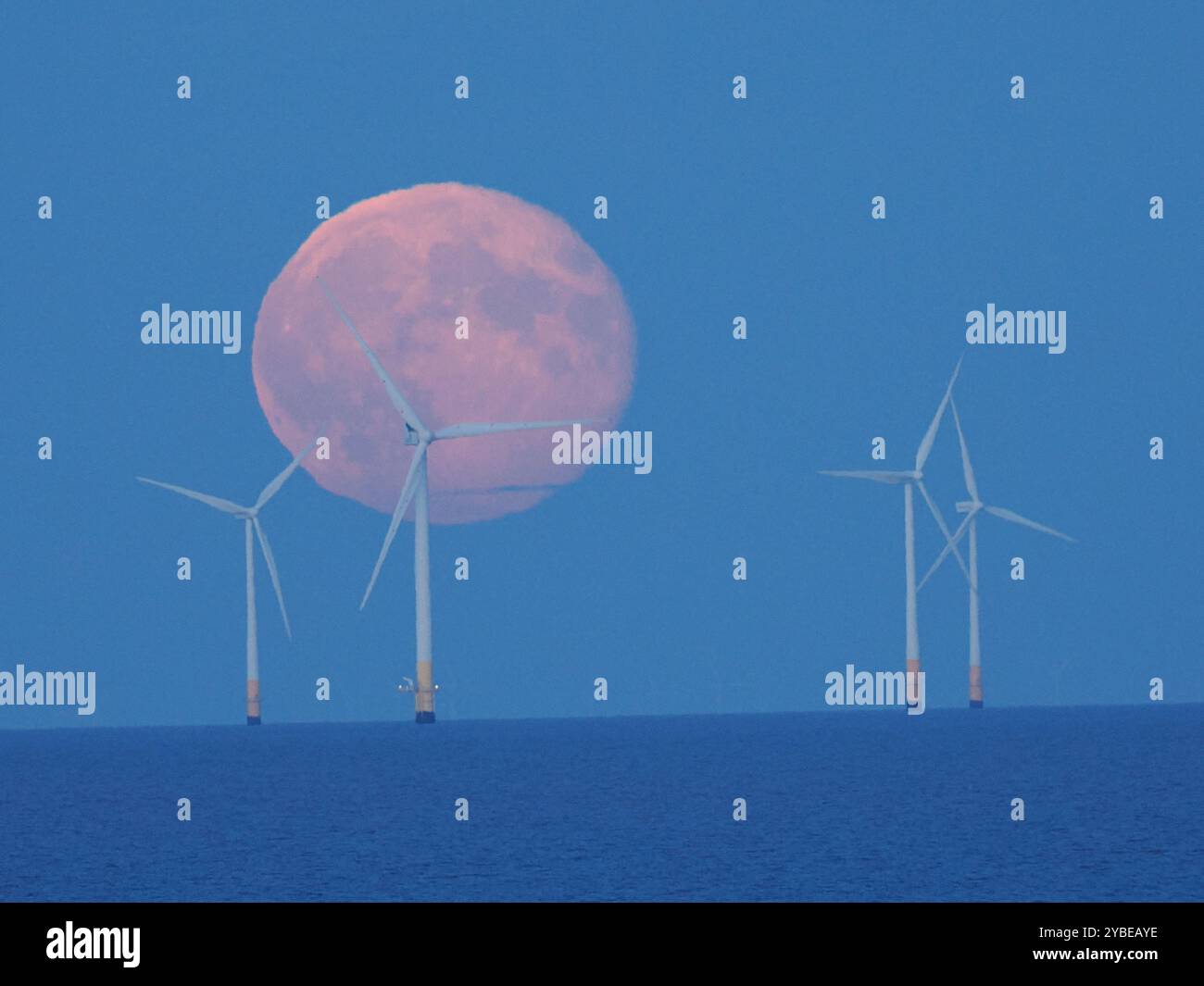 Warden Bay, Kent, Großbritannien. Oktober 2024. Wetter in Großbritannien: Der Supermond des Jägers steigt hinter der Windfarm Kentish Flats von Warden Bay, Kent. Quelle: James Bell/Alamy Live News Stockfoto