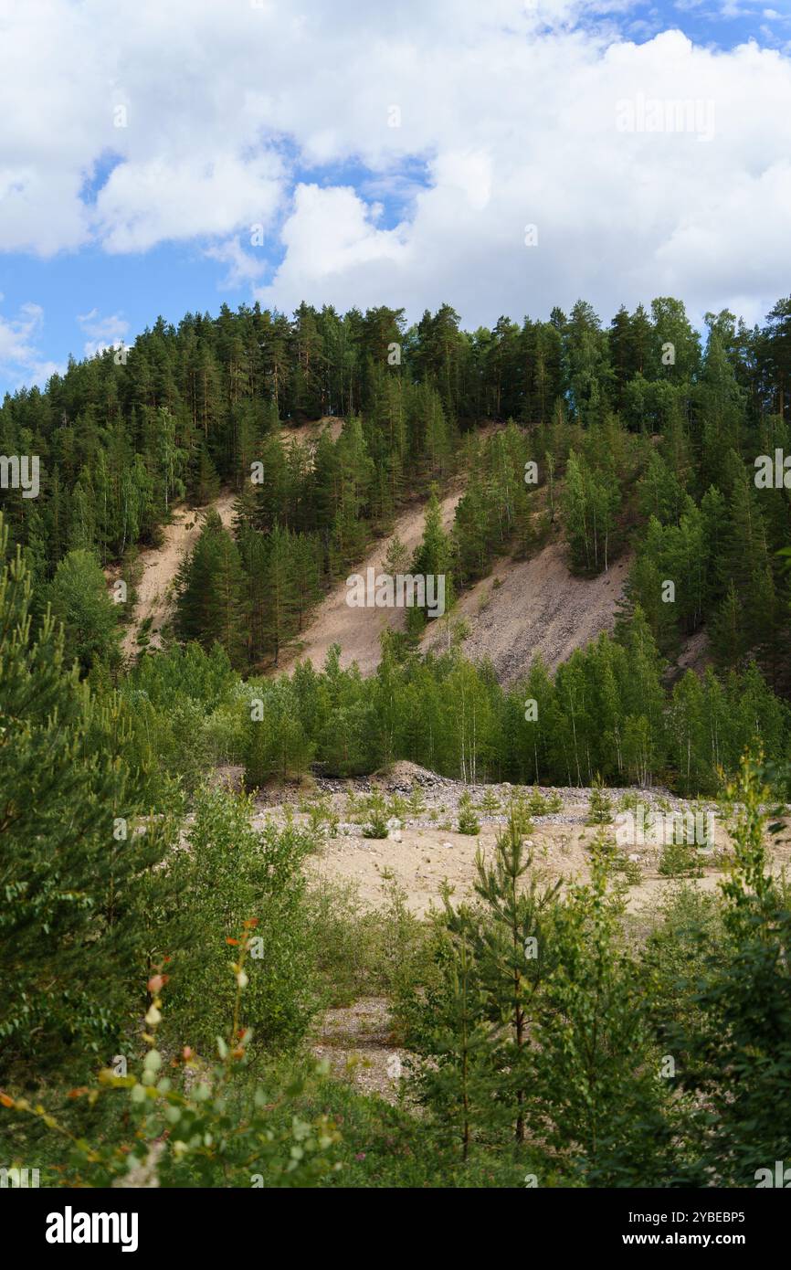 Sandhügel Paimelanvuori Hollola, Finnland im Sommer Stockfoto