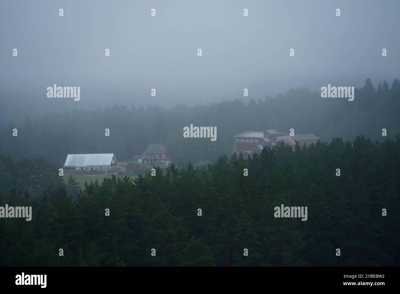 Ländliches Bauernhaus im Morgennebel, eingebettet zwischen dichten Bäumen in der finnischen Landschaft. Stockfoto