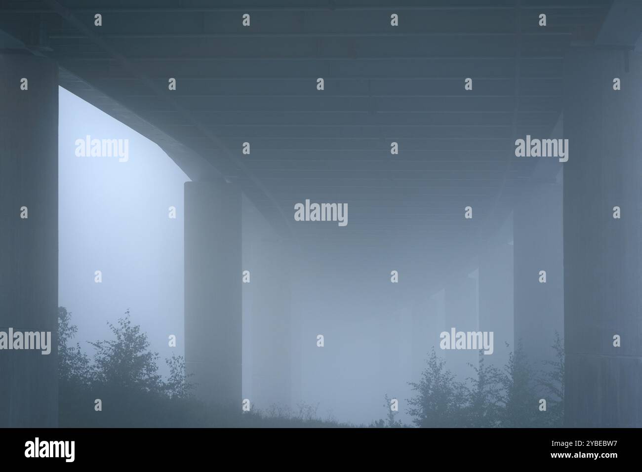 Dichter Nebel unter einer Brücke Stockfoto