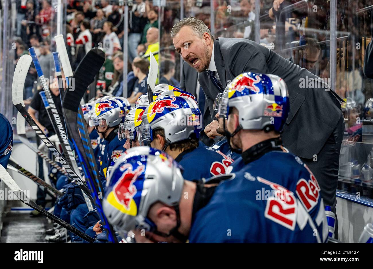 Max Kaltenhauser (Chef-Trainer / Interims-Trainer, EHC Red Bull Muenchen) mit Anweisungen an seine Spieler. GER, EHC Red Bull München gegen Augsburger Panther, Eishockey, DEL, 10. Spieltag, Saison 2024/2025, 18.10.2024. Foto: Eibner-Pressefoto/Heike Feiner Stockfoto