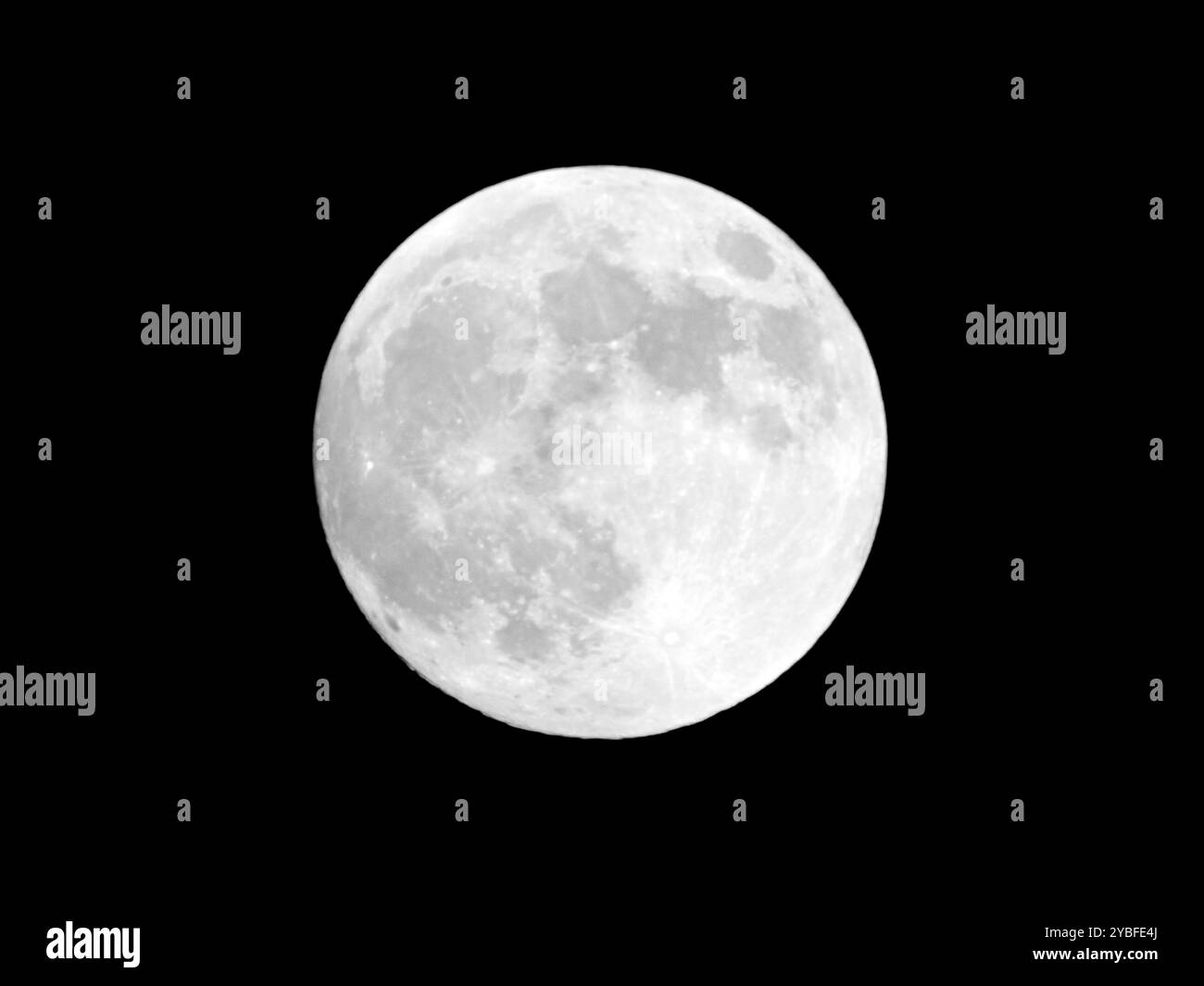 Hunter's Supermoon vom 16. Oktober 2024 in Spring Hill Kansas Stockfoto