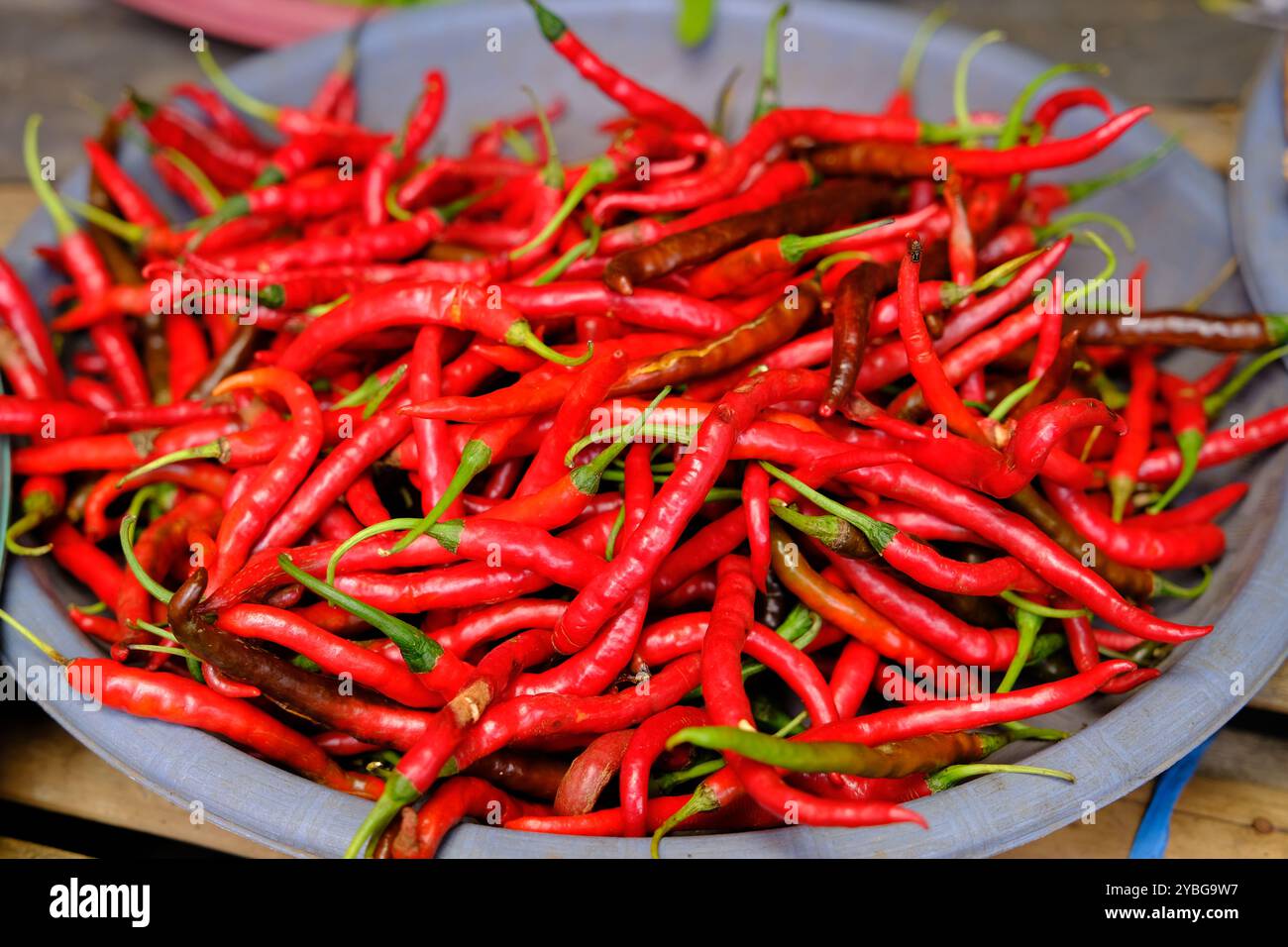 Indonesien Manado - Minahasa Regency - traditioneller Markt Tomohon - rote Chili Paprika - Chilli Stockfoto