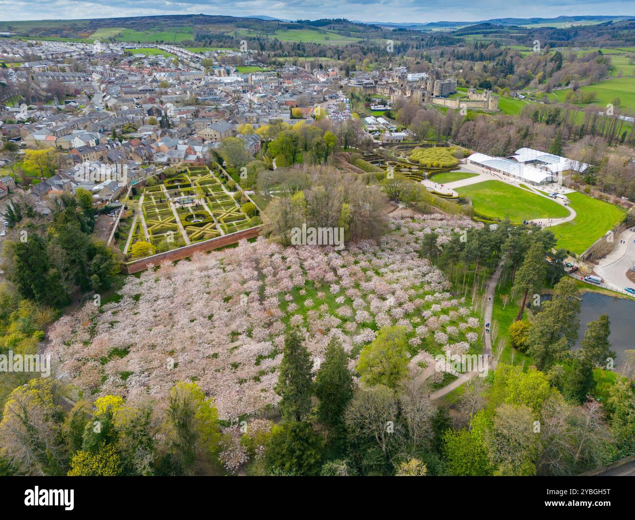 Alnwick Garden, Alnwick, Northumberland. Der Blütenbaumweg, Pic Phil Wilkinson / Alamy Stockfoto