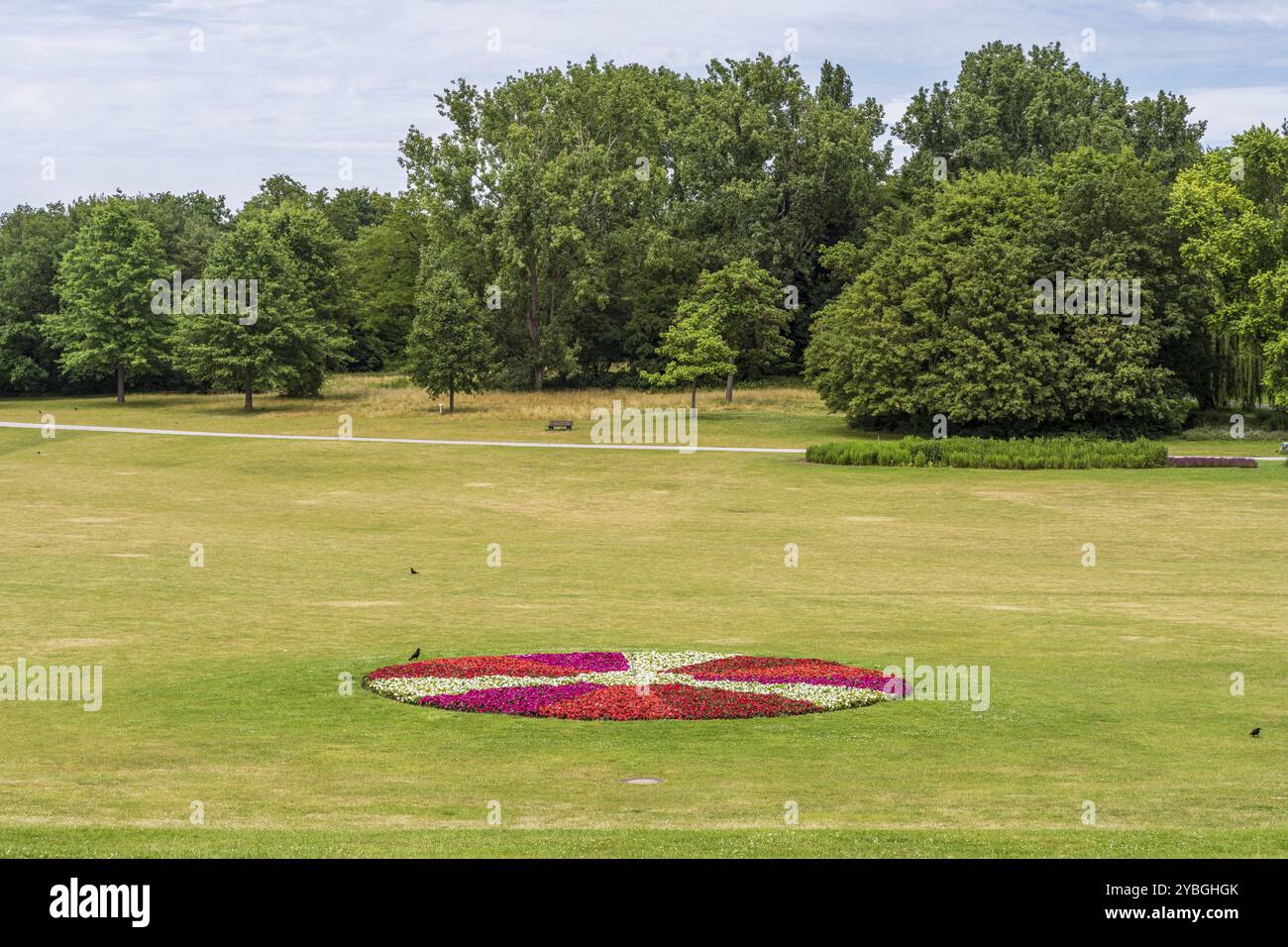 Der Erholungspark Rheinaue in Bonn, Nordrhein-Westfalen, Deutschland, Europa Stockfoto