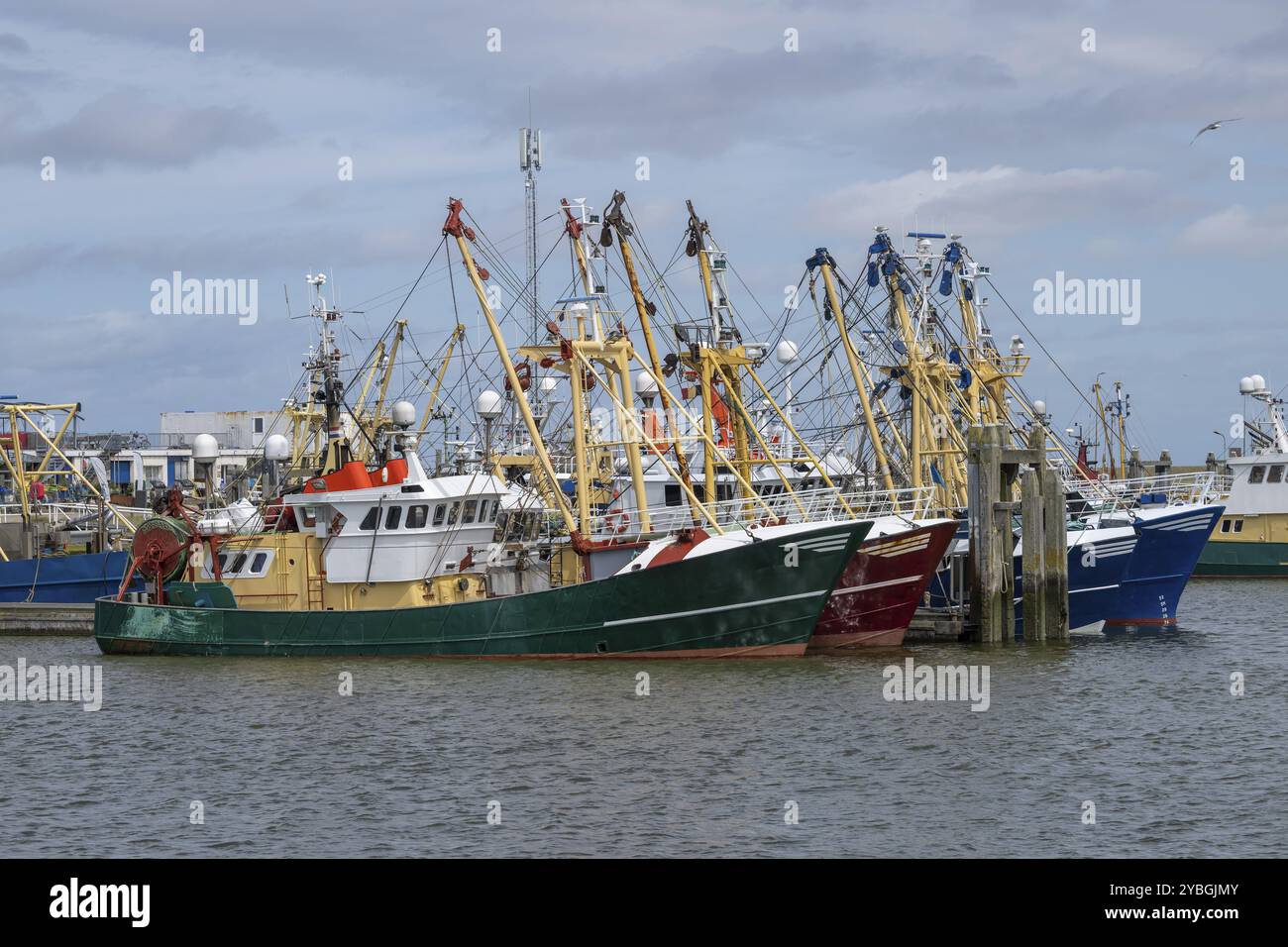 Fischerboote vor Anker in einem niederländischen Hafen aufgrund der hohen Ölpreise Stockfoto