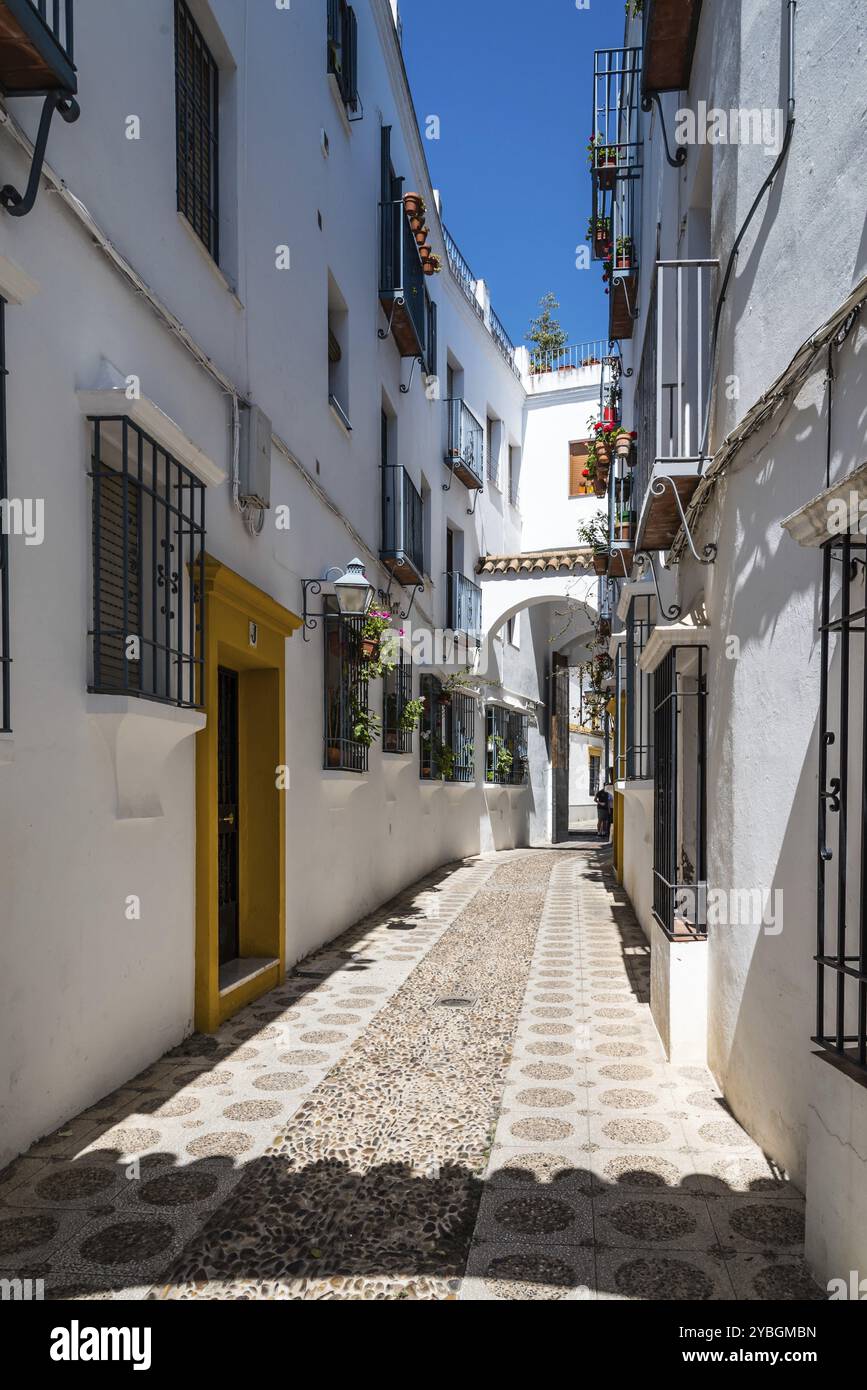 Alte typische Gasse im jüdischen Viertel von Córdoba mit alten Gebäuden mit weißen Wänden, bunten Blumentöpfen dekoriert Stockfoto