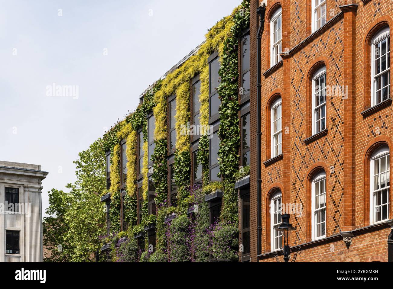 London, UK, 15. Mai 2019: Grüne Fassade in neuer Immobilienentwicklung in Covent Garden. Vertikaler Garten Stockfoto