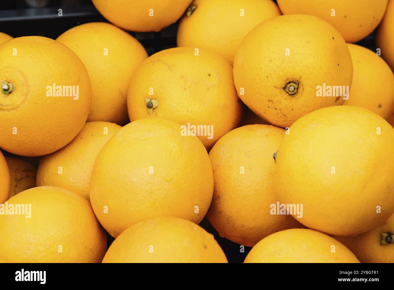 Frische Orangen auf dem Straßenmarkt in Rom Stockfoto