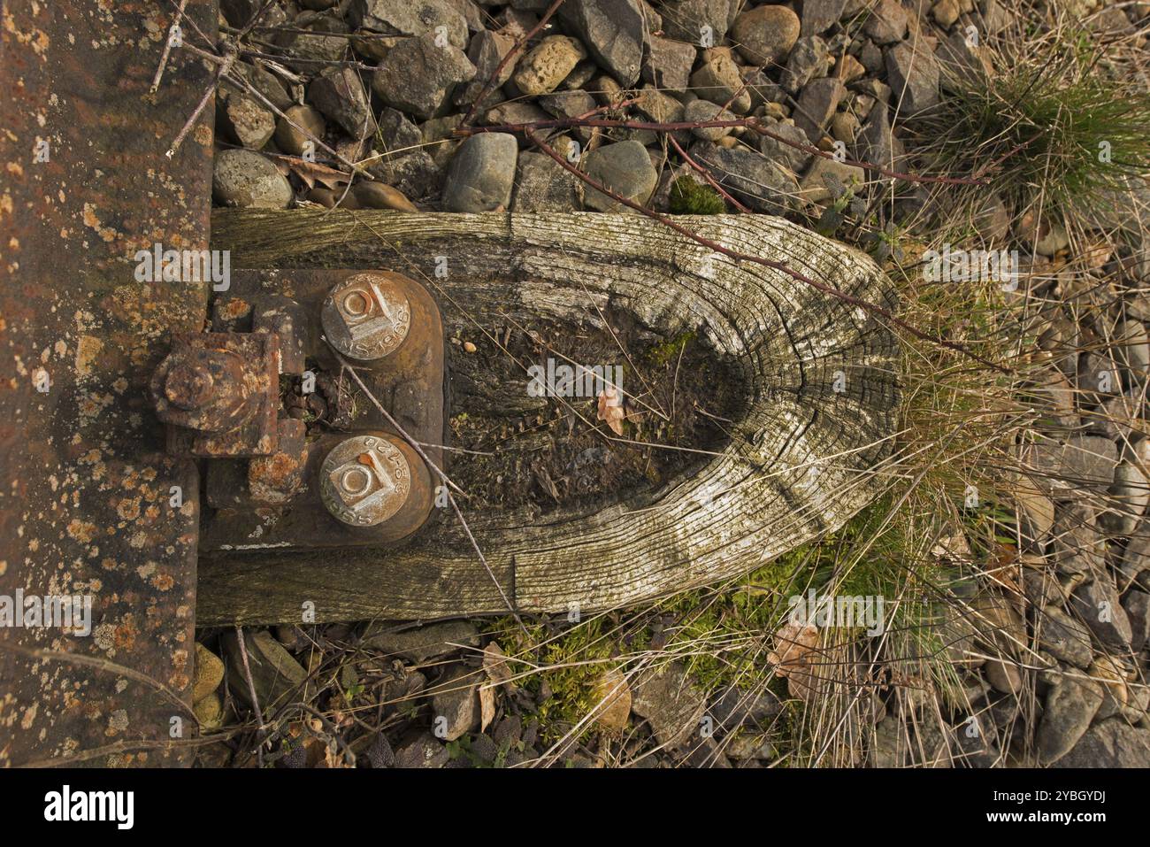 Bahntrasse Stockfoto