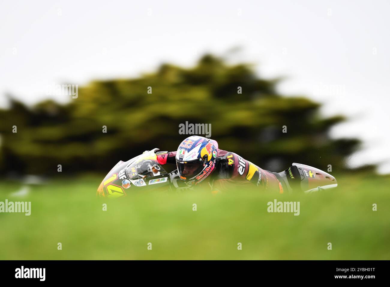 MELBOURNE, AUSTRALIEN. Oktober 2024. Im Bild: Tony Arbolino, Nummer 14 aus Italien, fuhr für das Elf Marc VDS Racing Team während Moto2 Training 2 beim Qatar Airways Australian Motorcycle Grand Prix 2024 auf dem Phillip Island Circuit. Quelle: Karl Phillipson/Alamy Live News Stockfoto