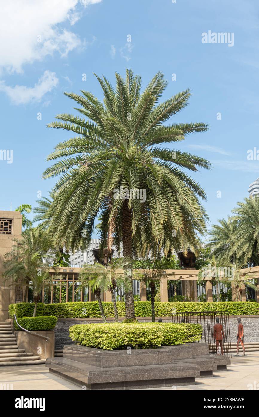 Palmen wachsen am Parkview Square in Singapur Stockfoto