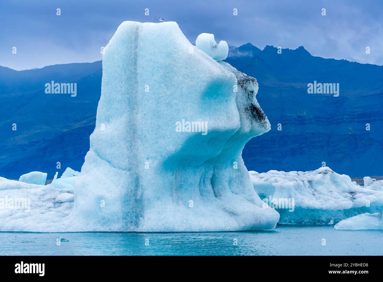 Eisberg treiben in Jökulsárlón Gletscher-Bucht Stockfoto