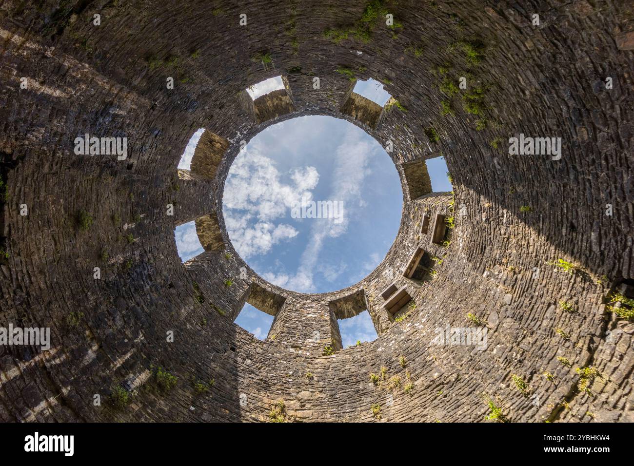 Blick auf die Ruine des kreisförmigen Donjons von Dinefwr Castle in der Nähe von Llandeilo, Carmarthenshire, Wales. Mai. Stockfoto