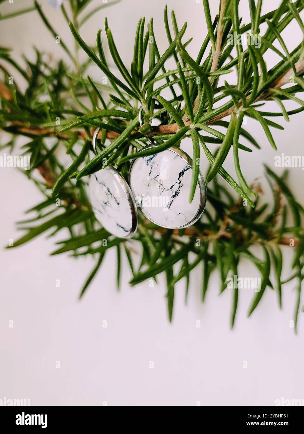 Handgefertigte Harz runde Marmor Textur Stein Ohrringe transparente Oberfläche am grünen Rosmarinzweig. Naturinspirierter Schmuck, handgefertigter Silberschmuck Stockfoto