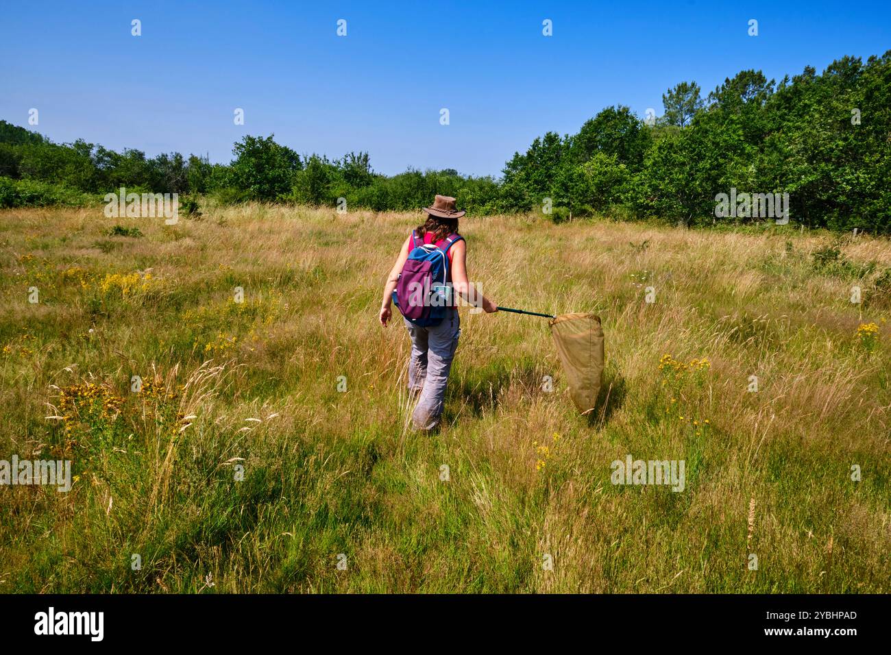 France, Indre (36), Berry, Brenne, Naturpark, Valérie Le Mercier, Moderatorin im Regionalen Naturpark von Brenne Stockfoto